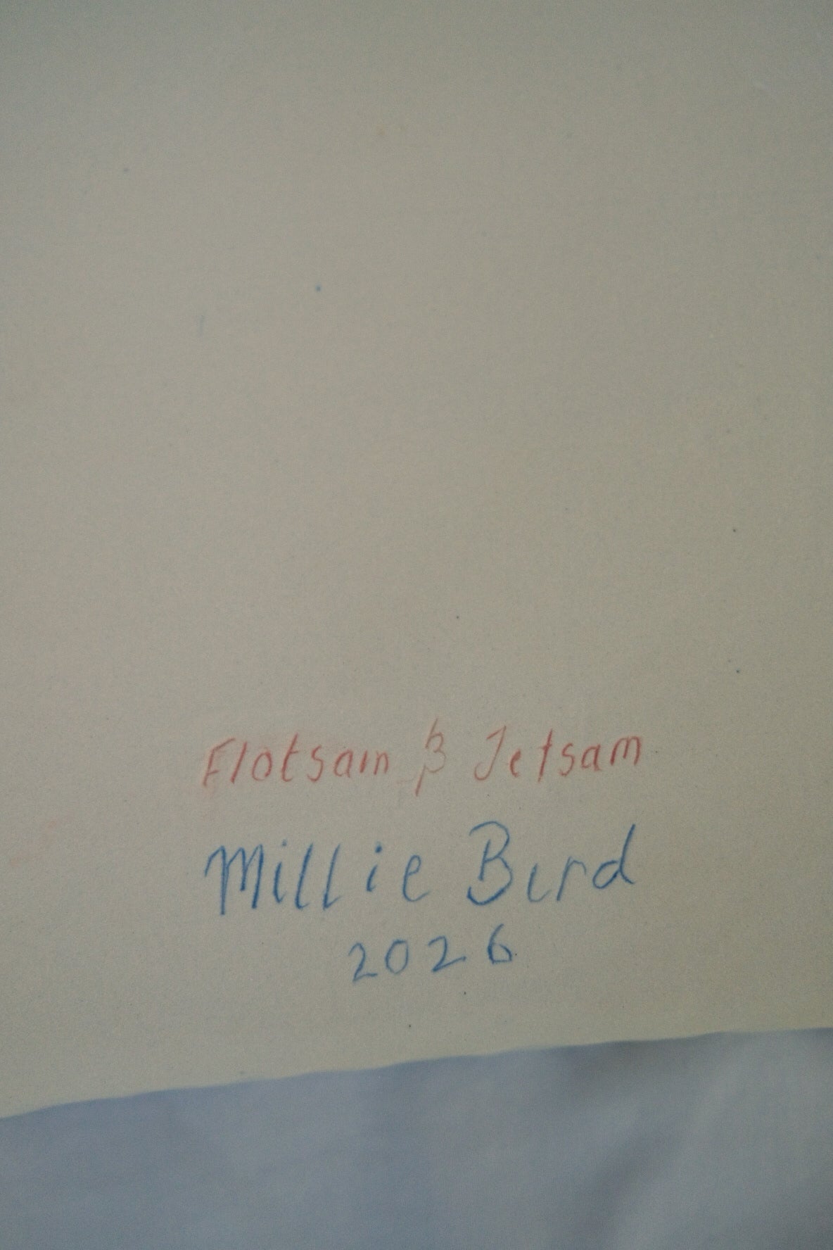 Flotsam and Jetsam Plate (Second)